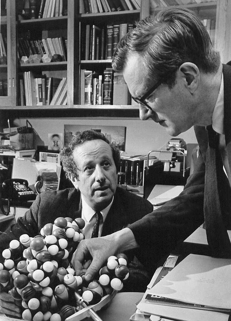 Hamilton and Wilkins,DNA researchers