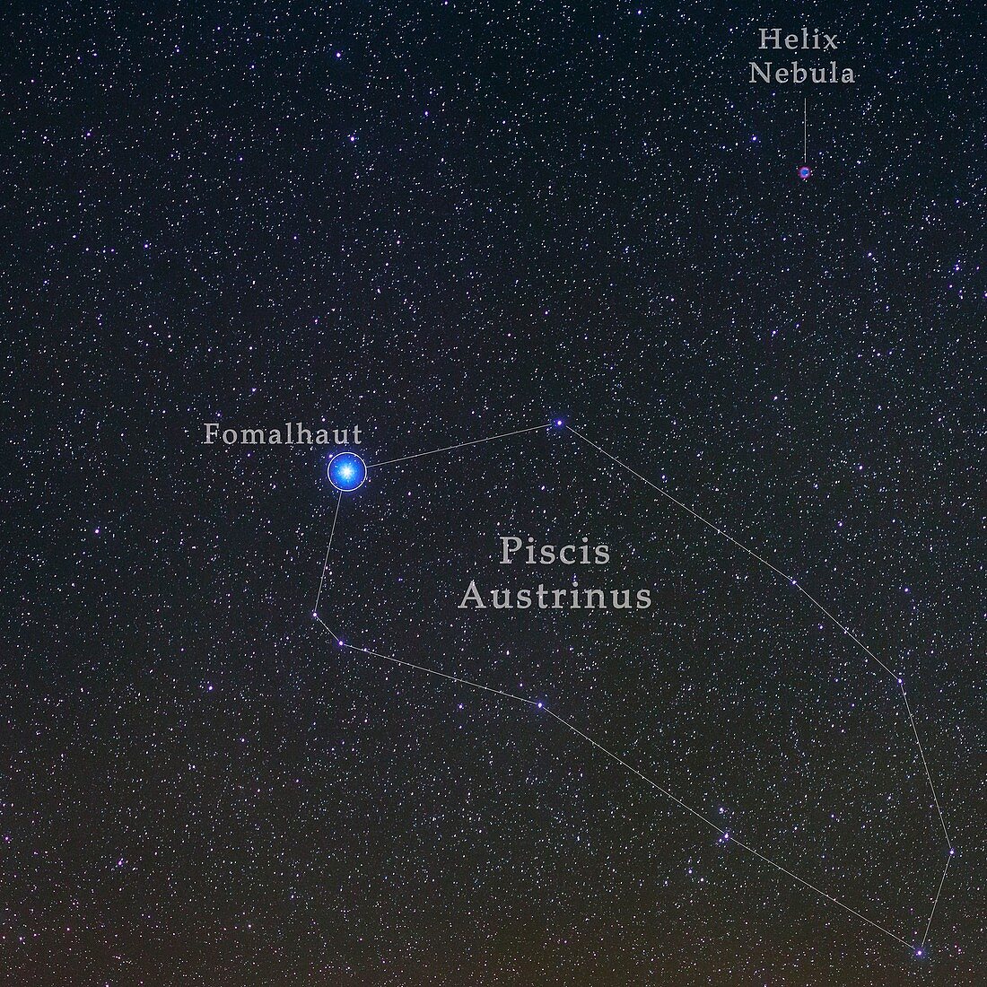 Constellation Piscis Austrinus
