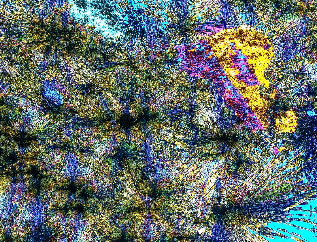 Luxulyanite,thin section,LM
