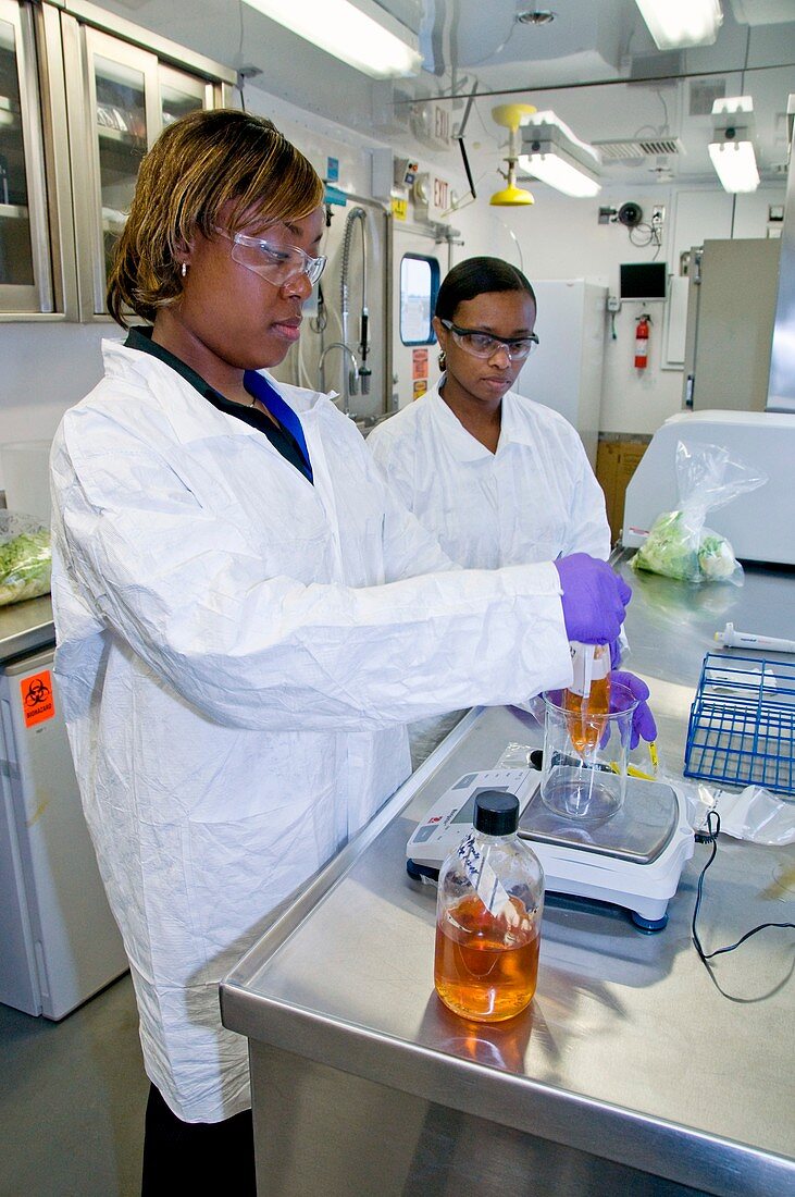 Preparing microbiological sample