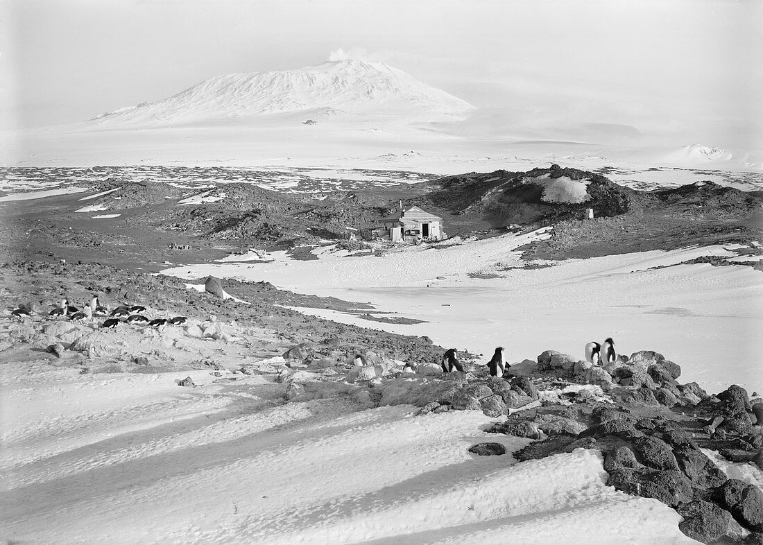 Shackleton's hut in the Antarctic,1911