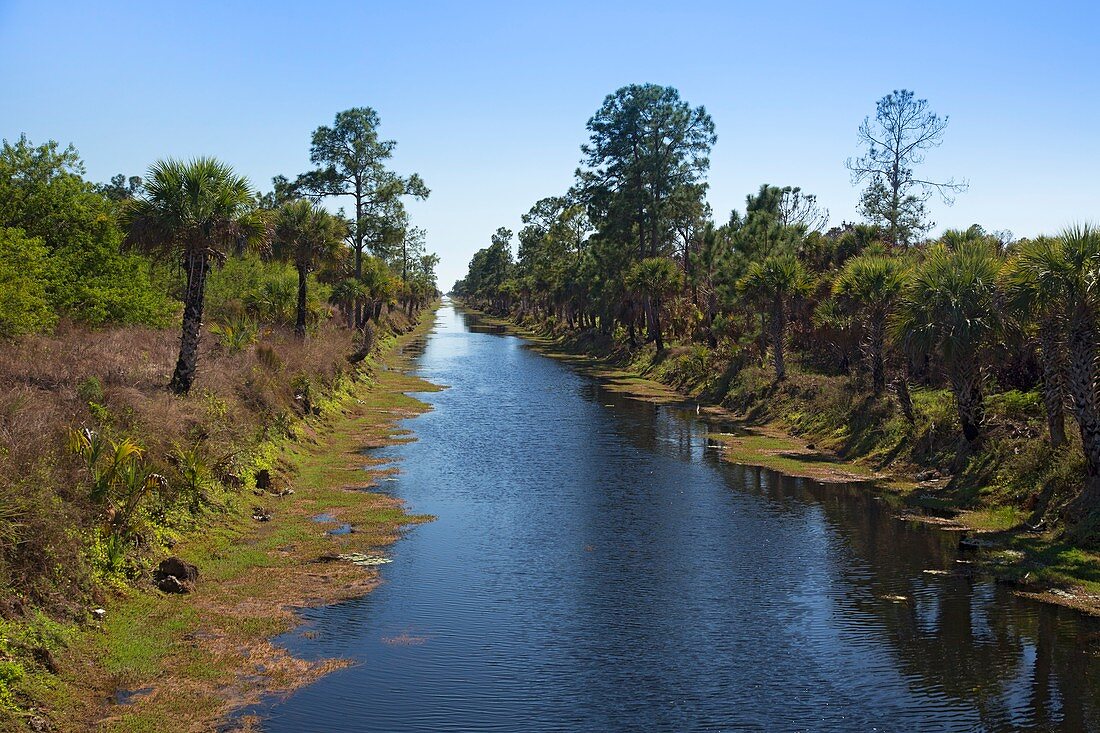 Everglades restoration,Florida,USA