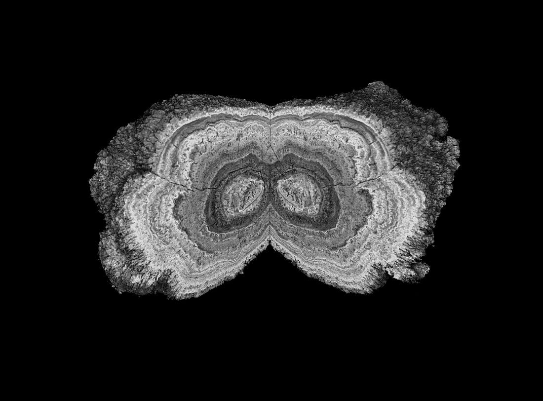 Manganese nodule,micro-CT scan