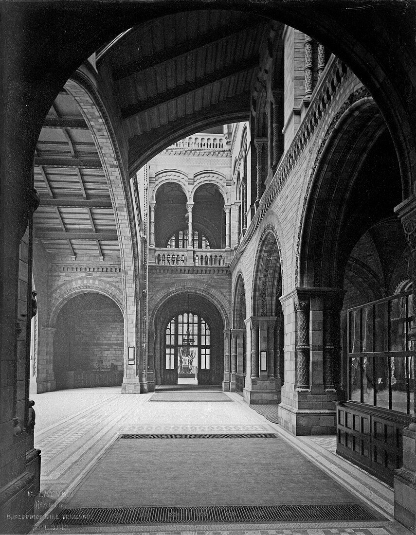 The Natural History Museum,1882
