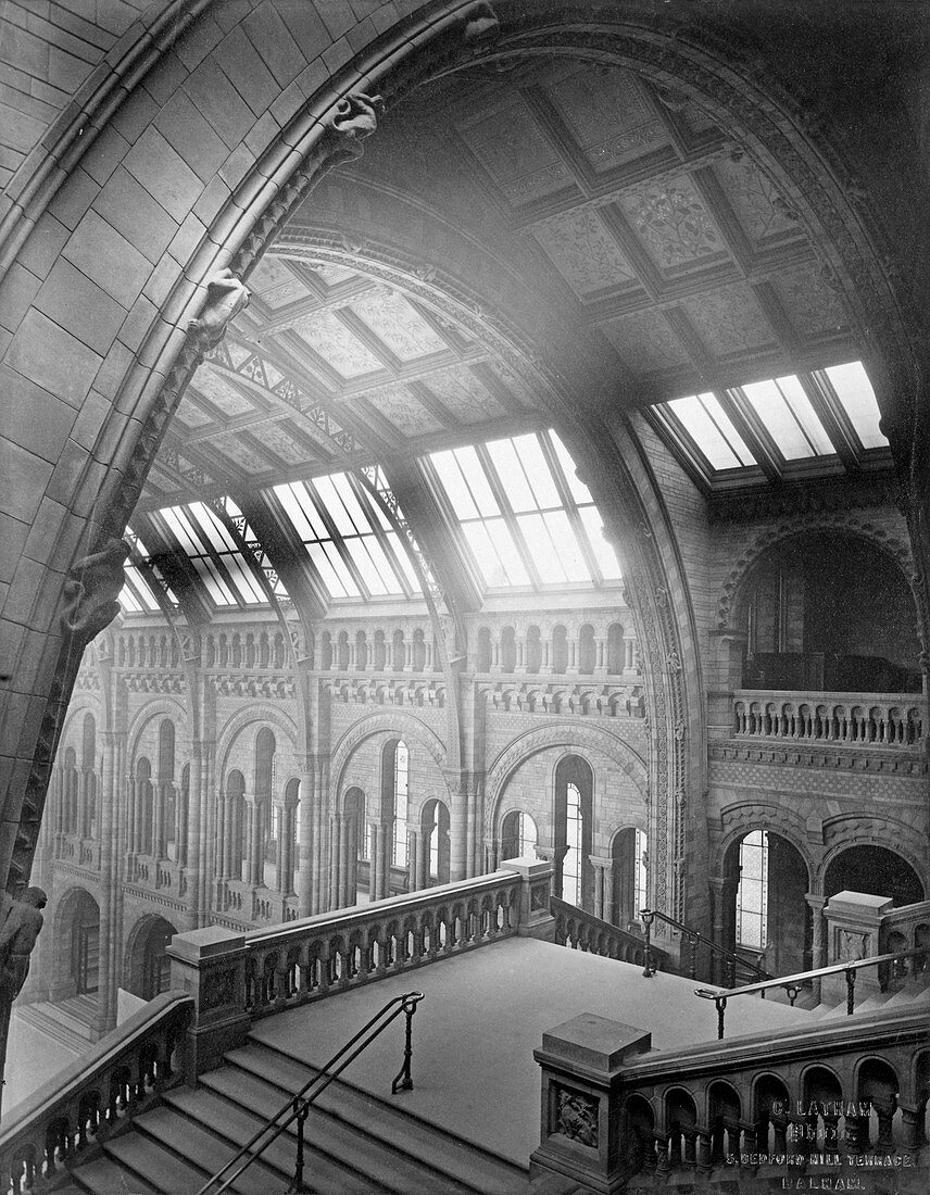 The Natural History Museum,1882