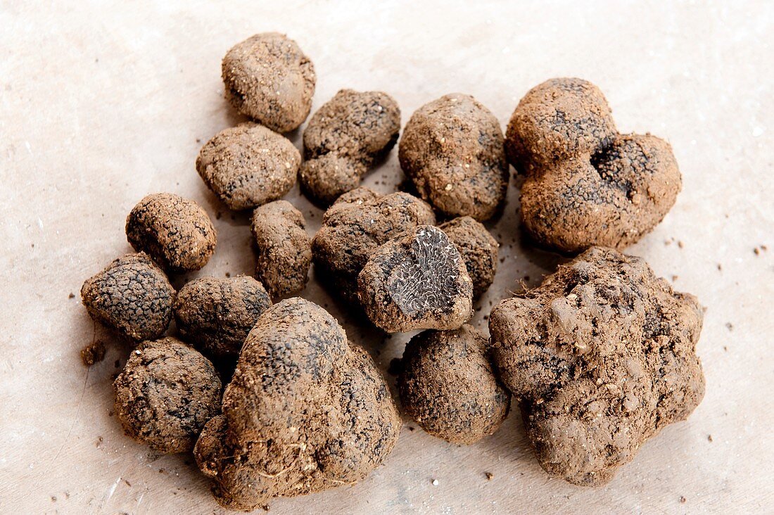 Truffles