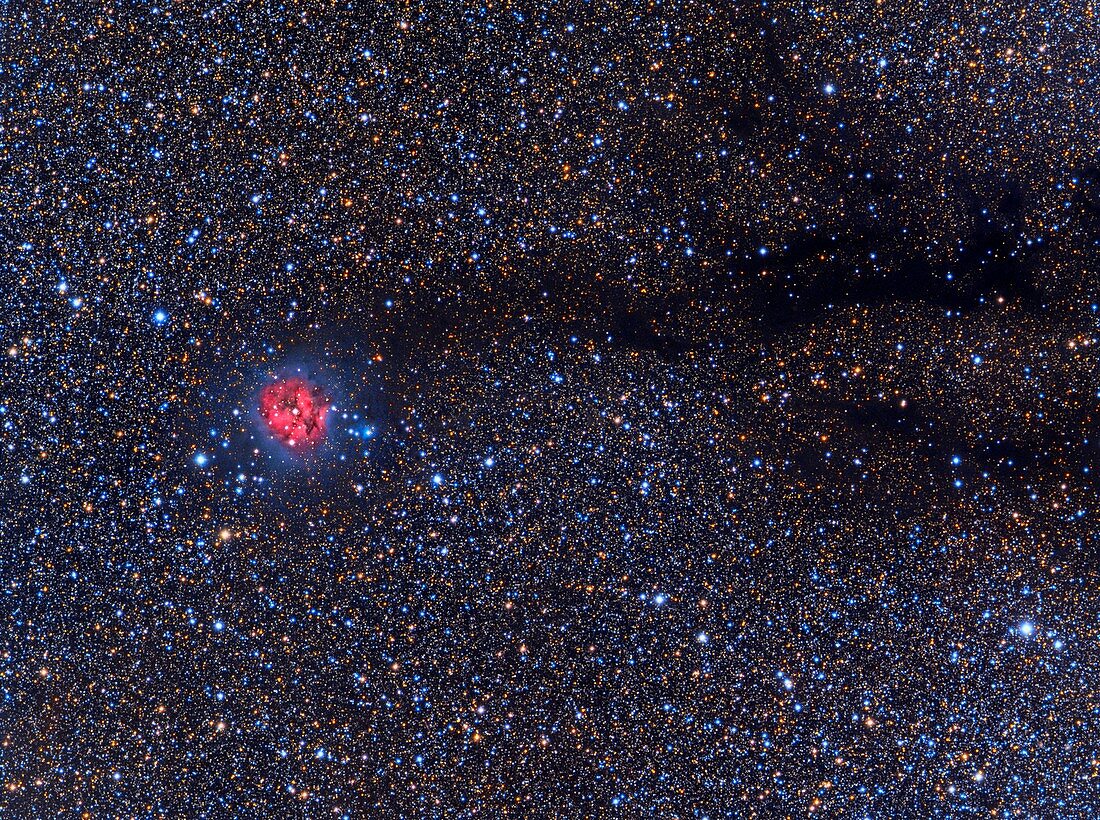 Cocoon Nebula,optical image