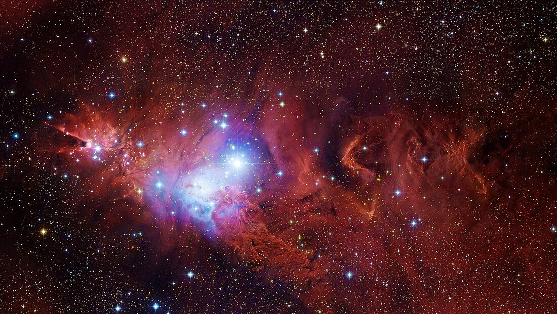 Cone Nebula and Christmas Tree Cluster