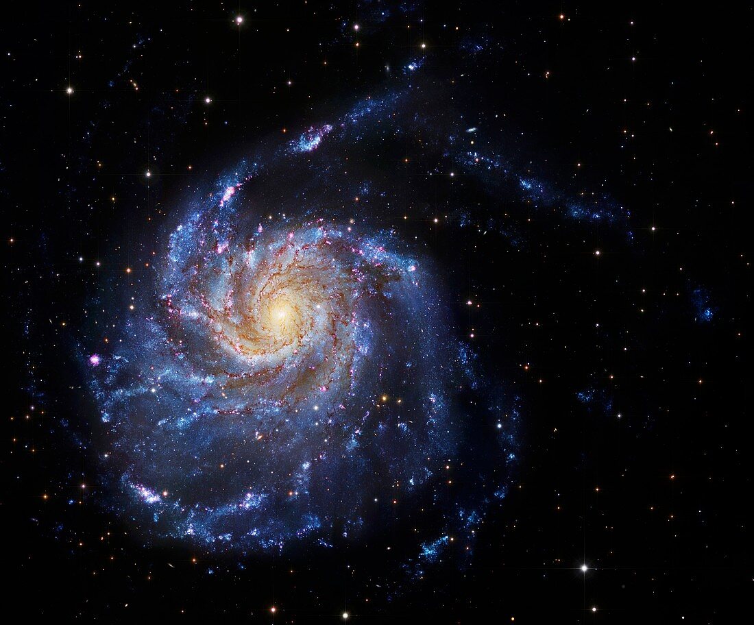 Pinwheel Galaxy,M101