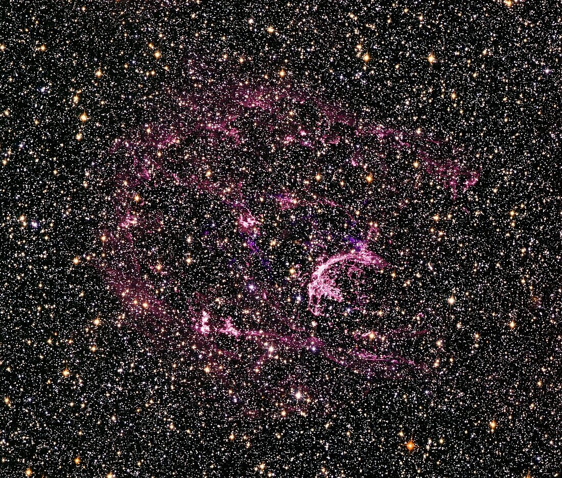 Supernova remnant N132D,HST image