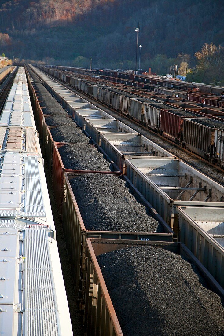 Coal trains in railway yard