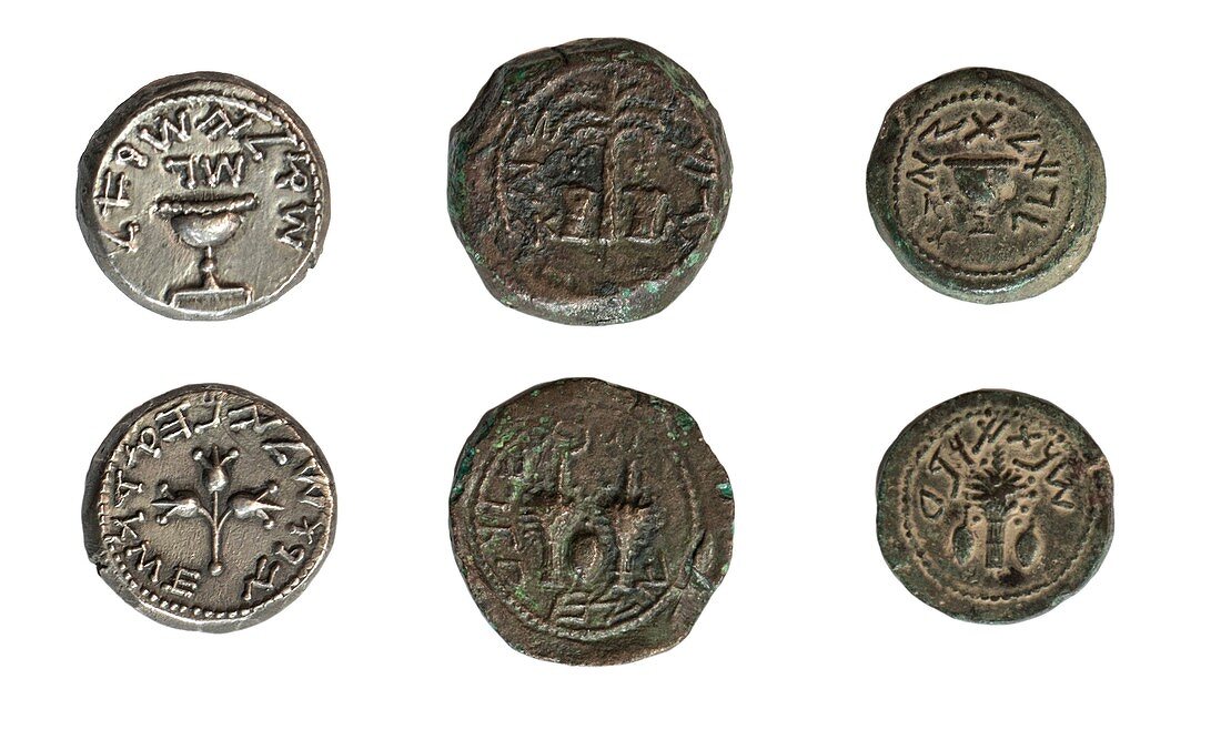 First Jewish Revolt coins