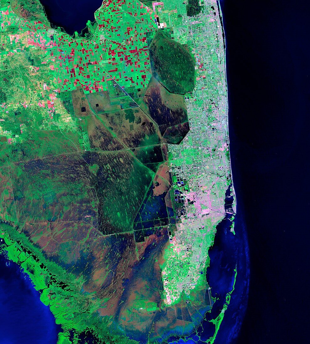 Florida,infrared Landsat 5 image