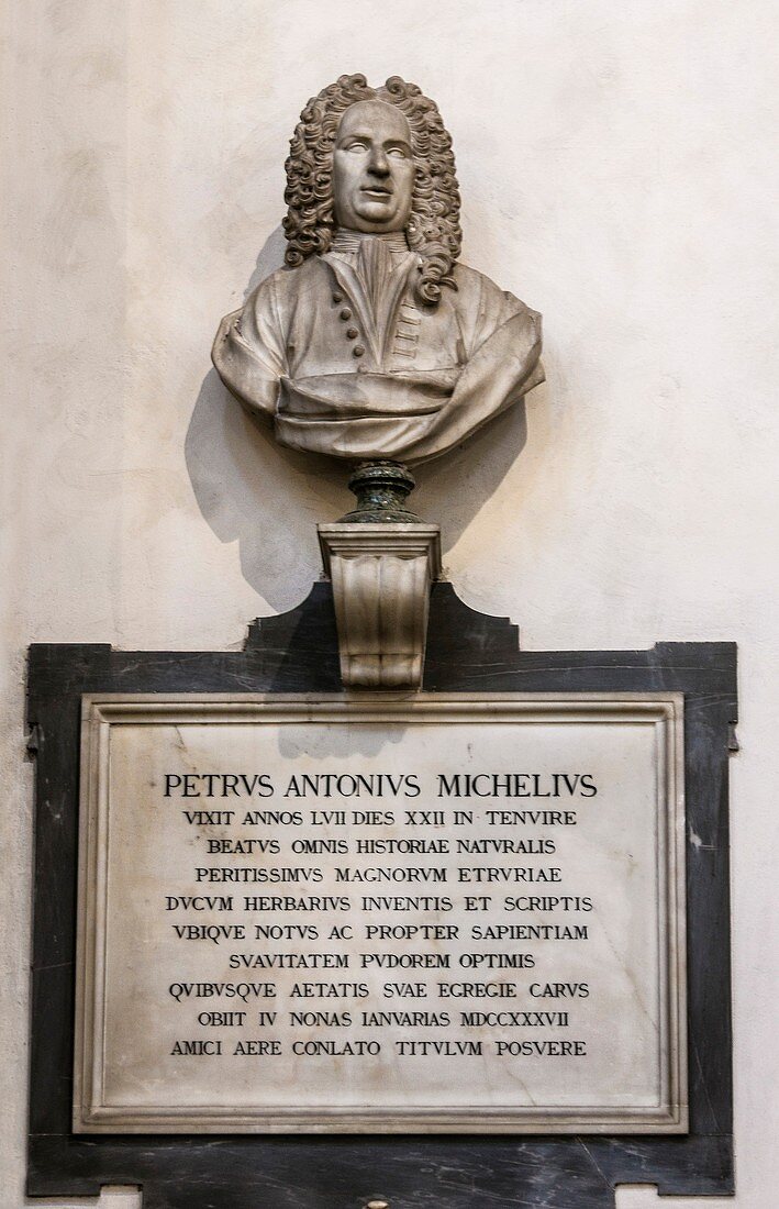 Memorial to Petrus Antonius Michelius