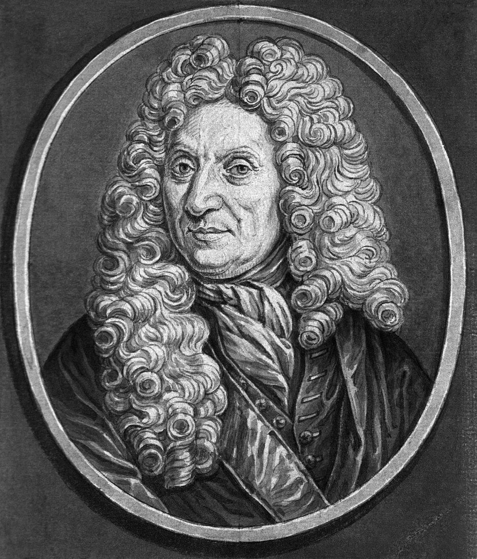 Bernhard Albinus,Dutch anatomist