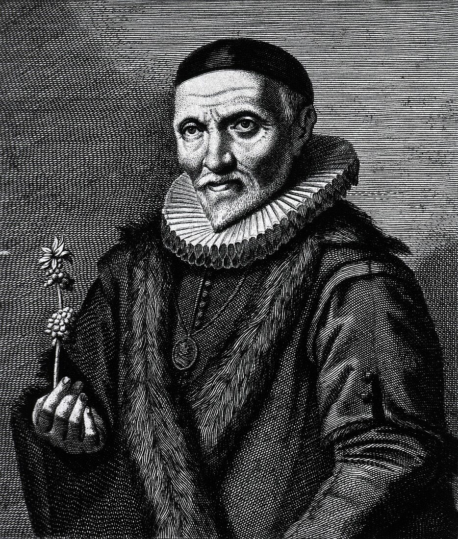 Bernardus Paludanus,Dutch physician