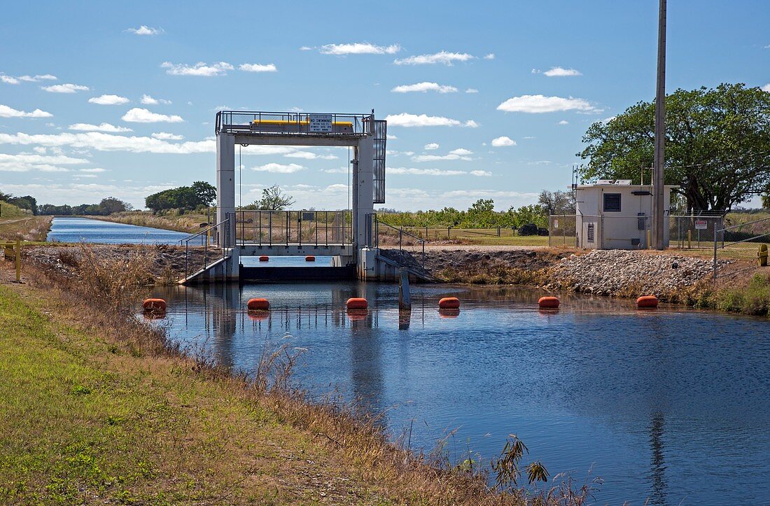 Canal sluice gate