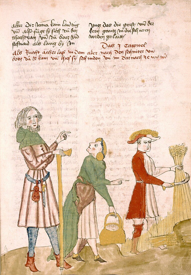 Medieval farm workers,artwork