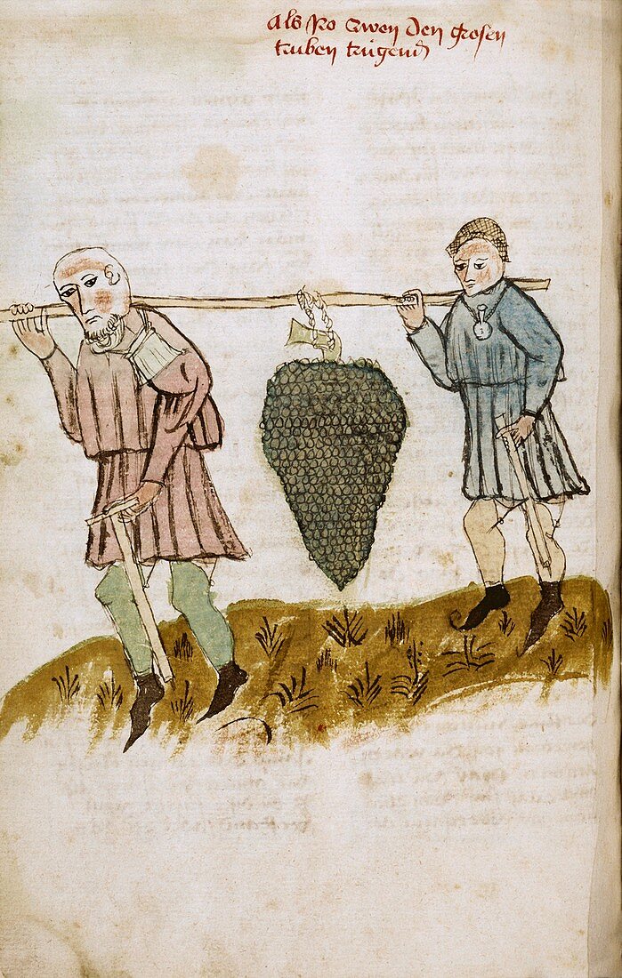 Medieval farm workers,artwork