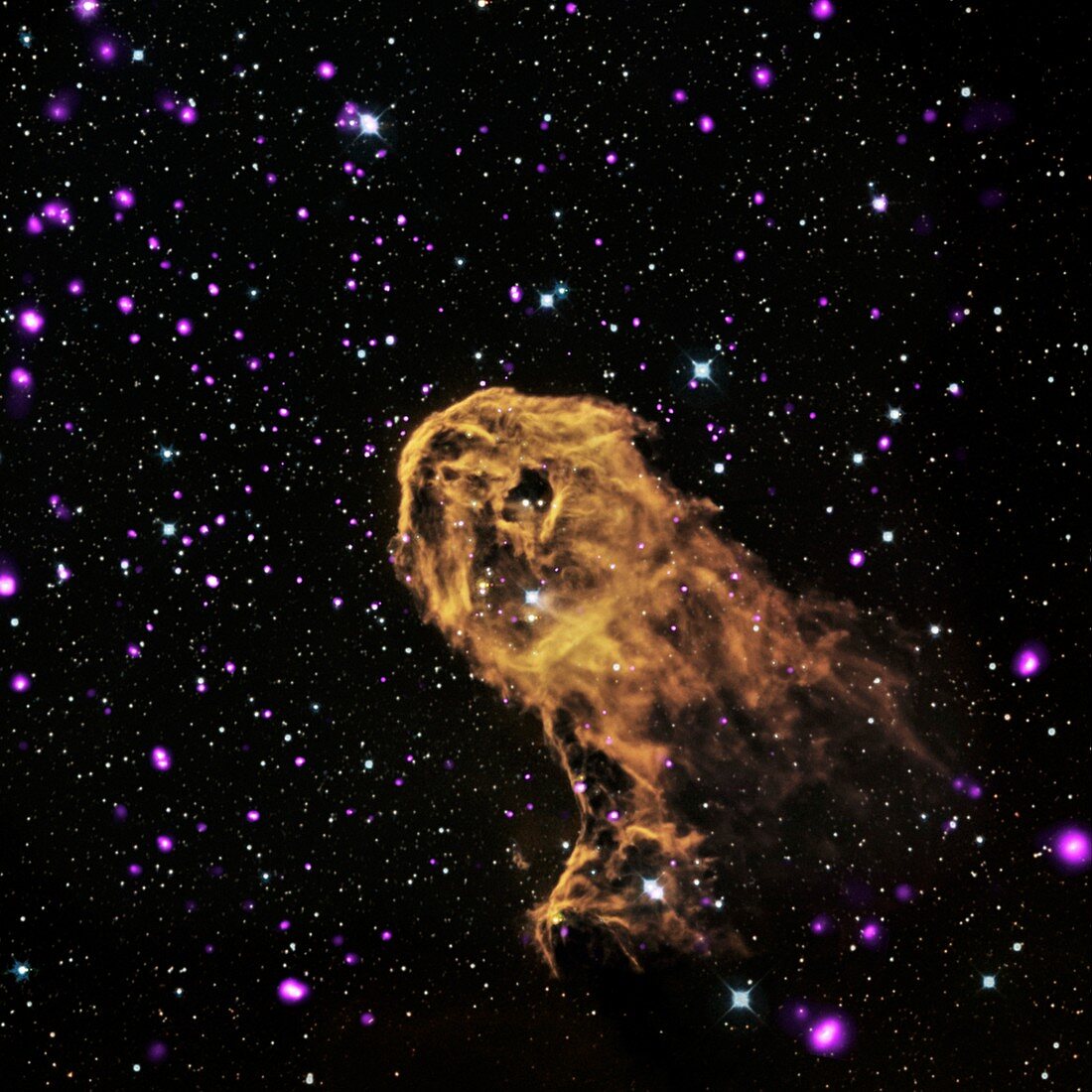 Elephant's Trunk nebula,optical image