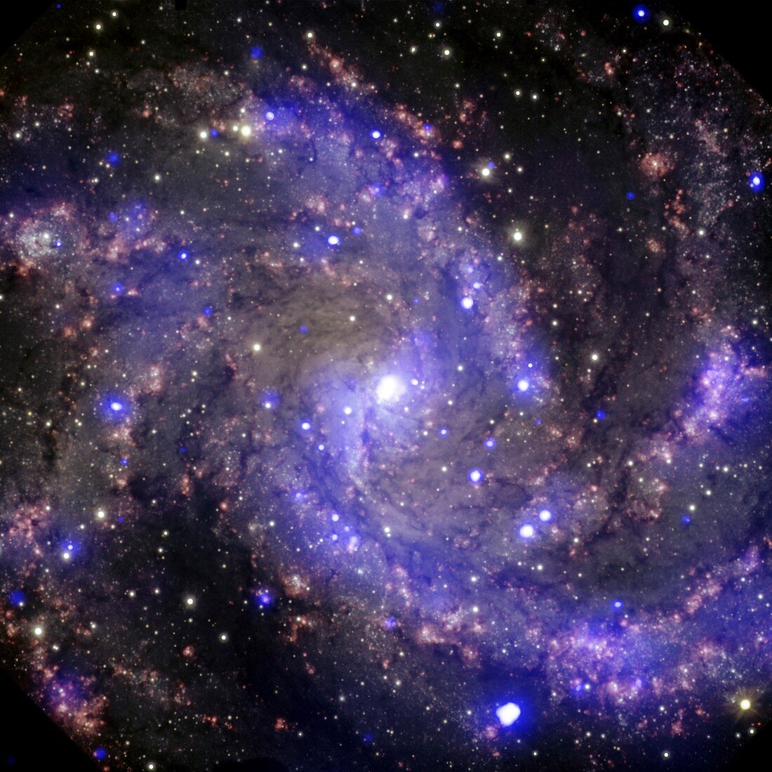 Fireworks Galaxy,optical image