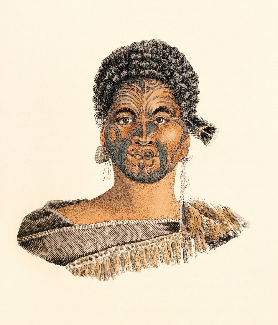Maori man,19th century artwork