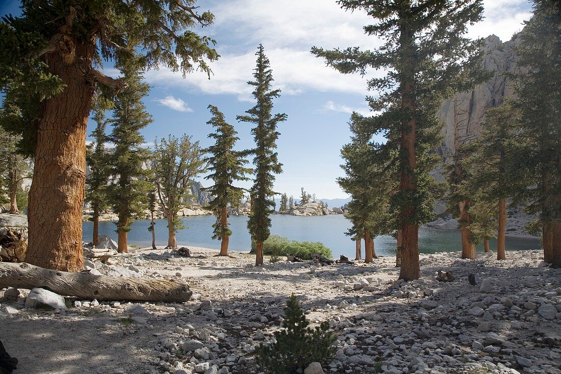 Lone Pine Lake shoreline,Sierra Nevada