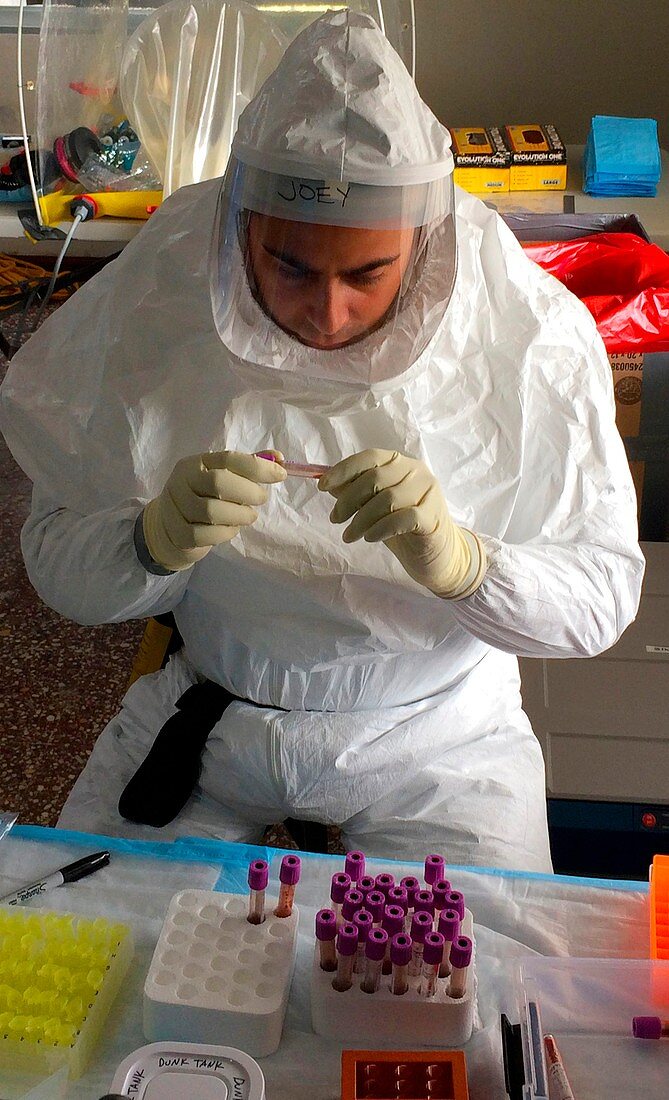 Processing ebola samples