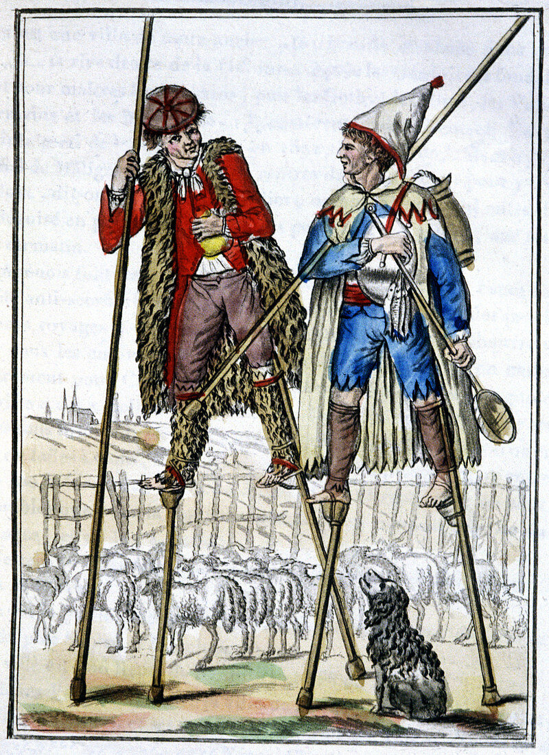 French shepherds on stilts,illustration