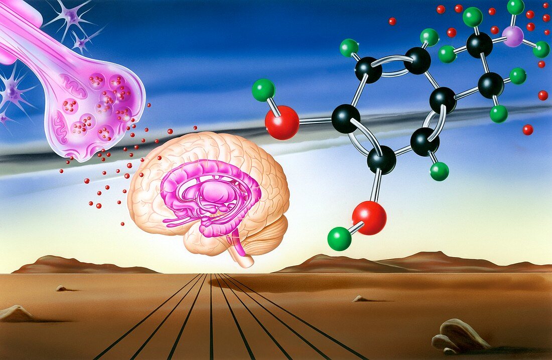 Dopamine brain chemistry,artwork