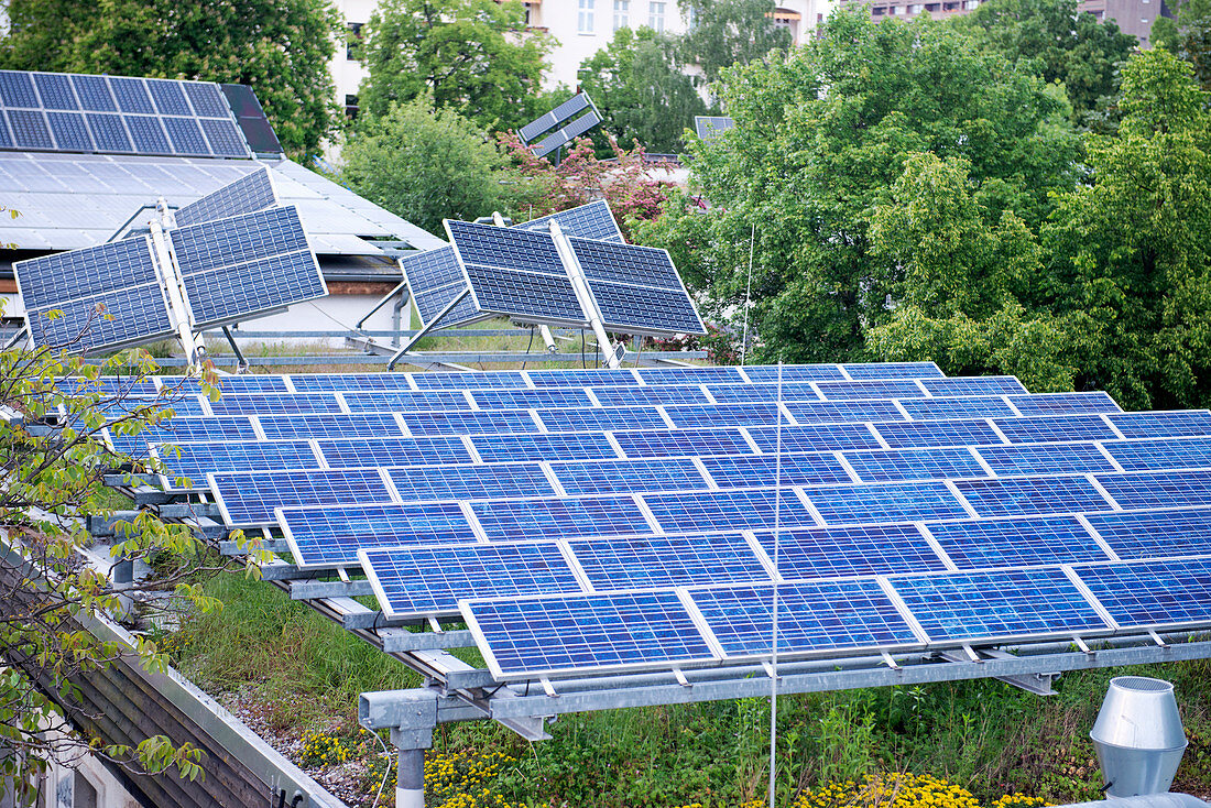 Solar panels on green roof