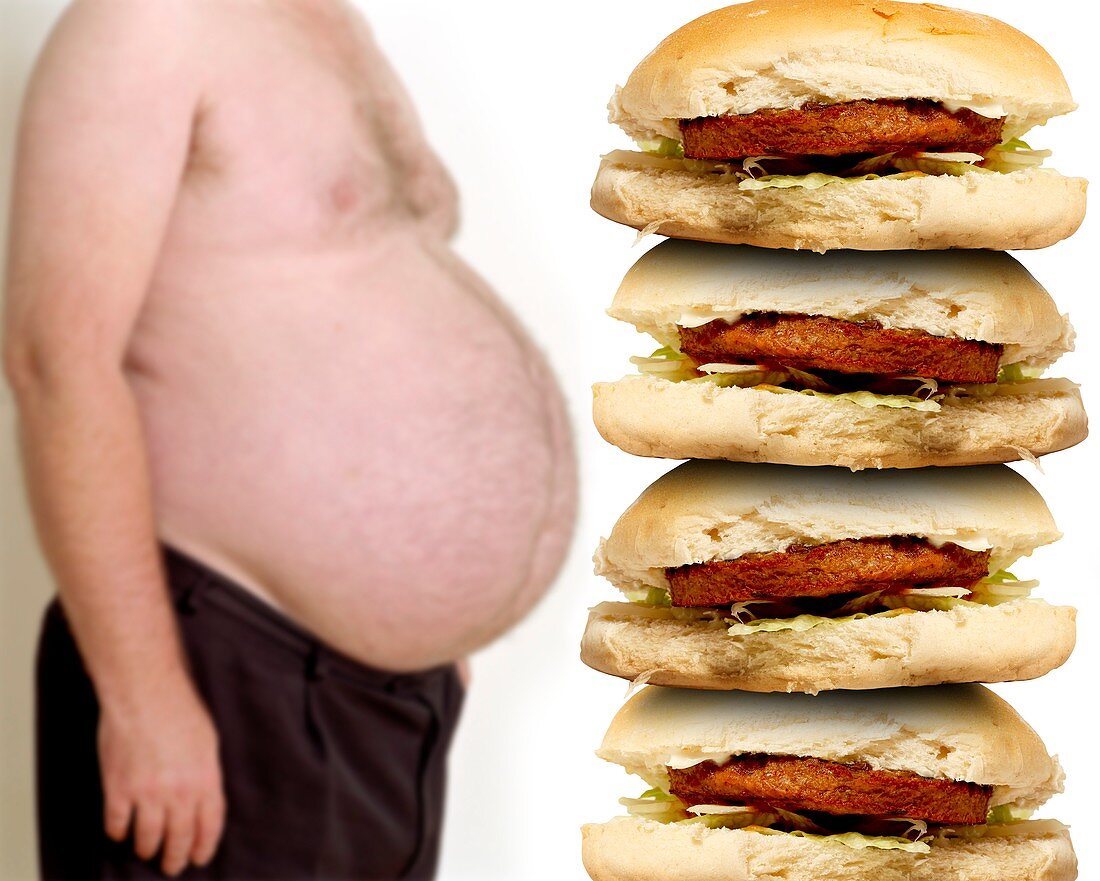 Obesity and junk food,conceptual image