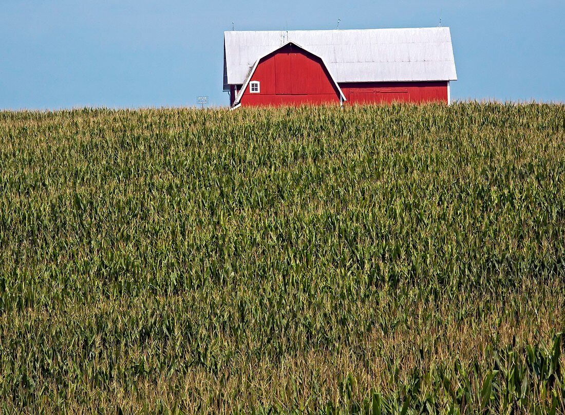 Arable farm,Michigan,USA