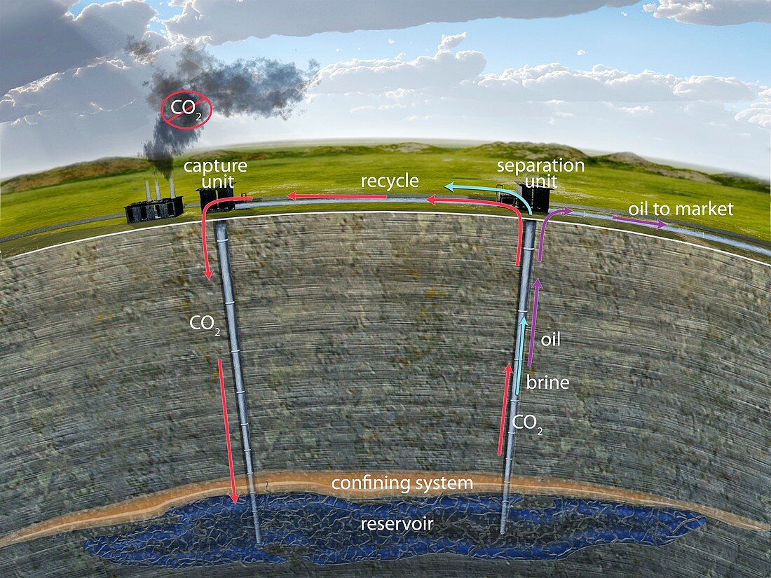 Carbon sequestration,illustration