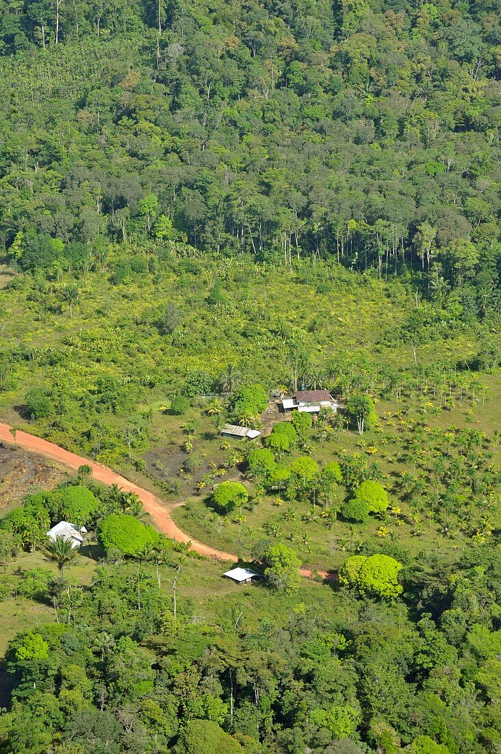 Deforestation,French Guiana