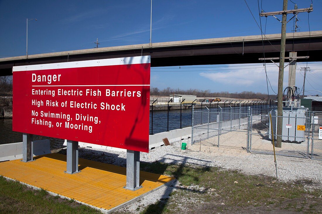 Electric fish barrier