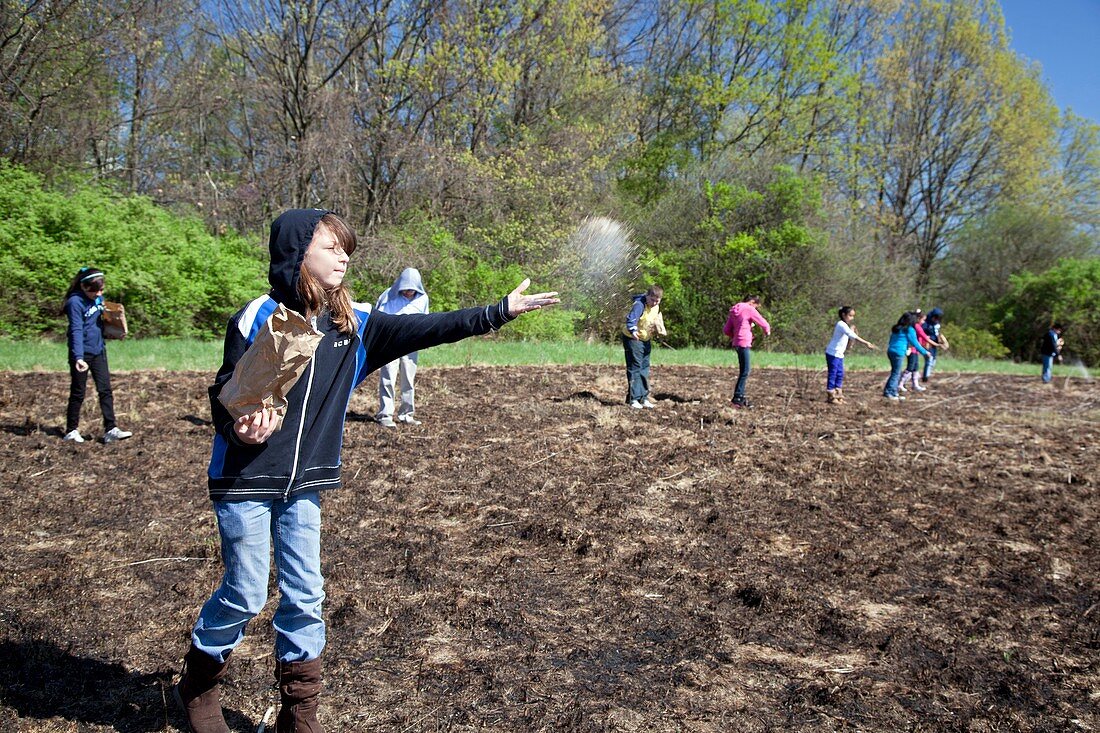 Schoolchildren sowing seeds