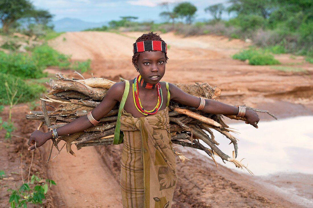 Young Hamar girl collecting fire wood