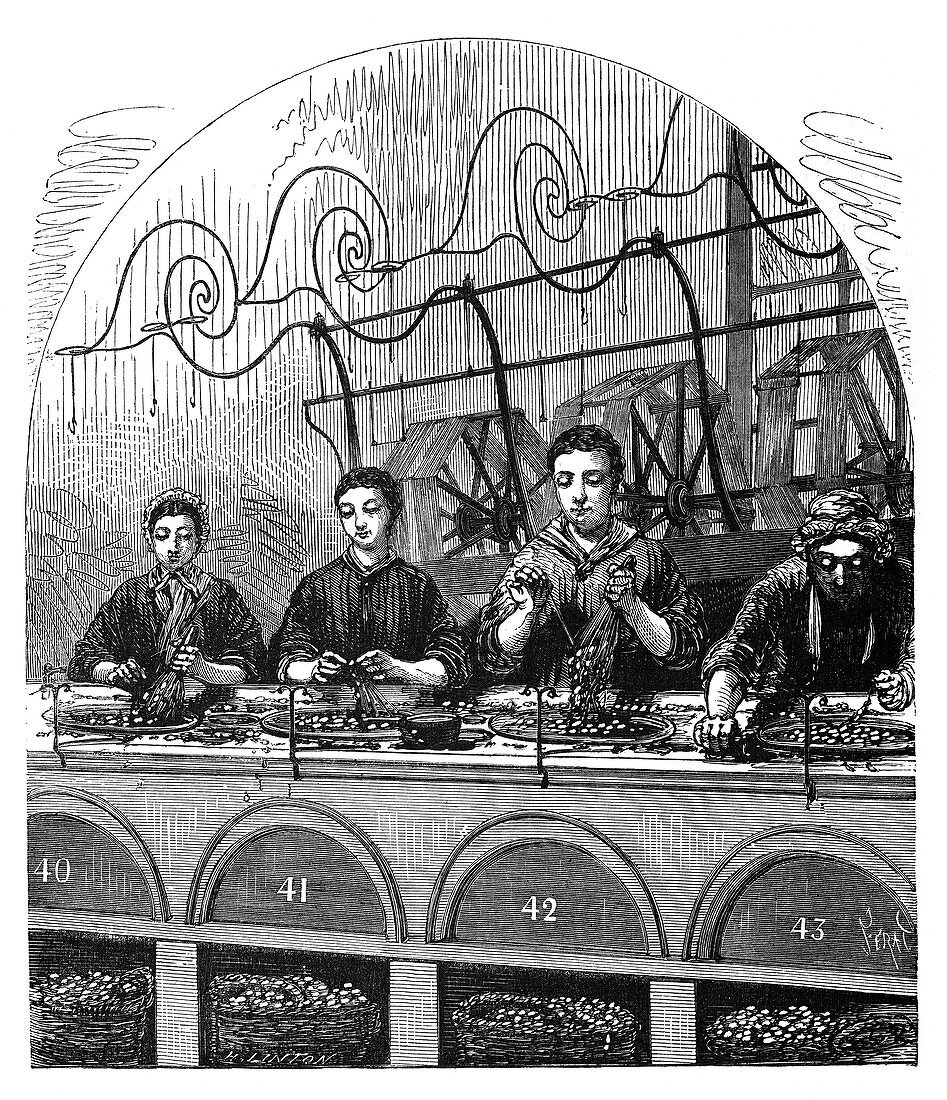 Silk spinning,19th century