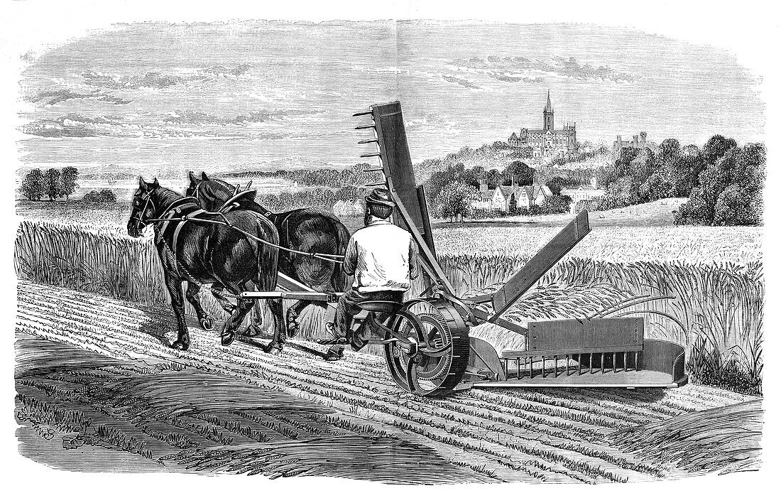 Experimental harvester,19th century