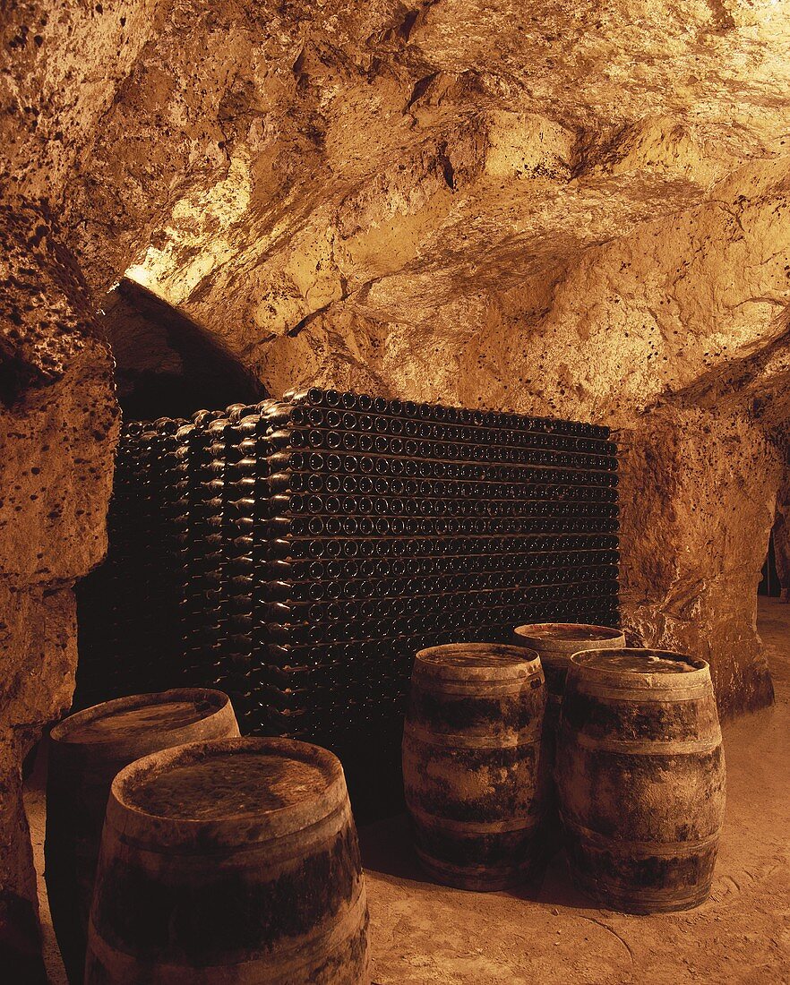 Wein in Flaschen & Fässern,Château de la Grille,Chinon,Loire