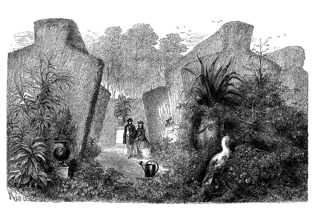 Horticultural gardens,19th century