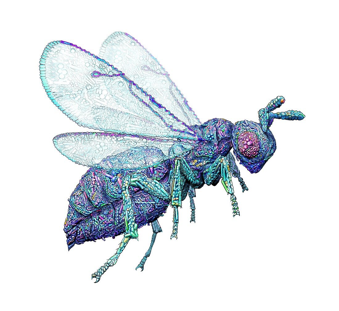 Microbial wasp,conceptual illustration