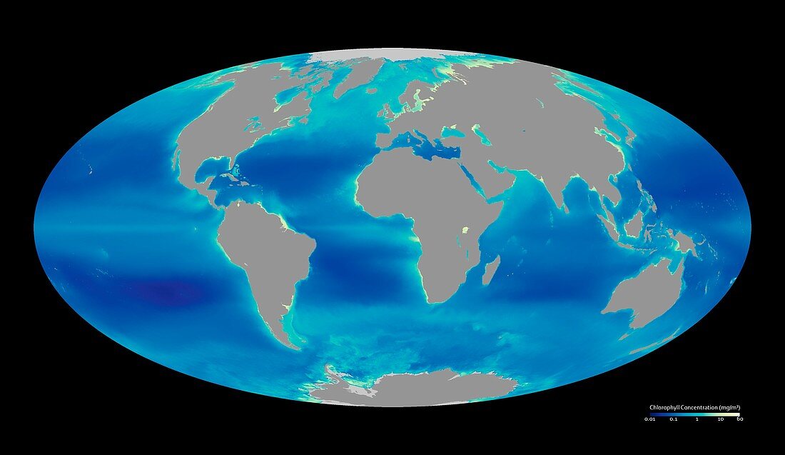 Global phytoplankton levels,1997-2007