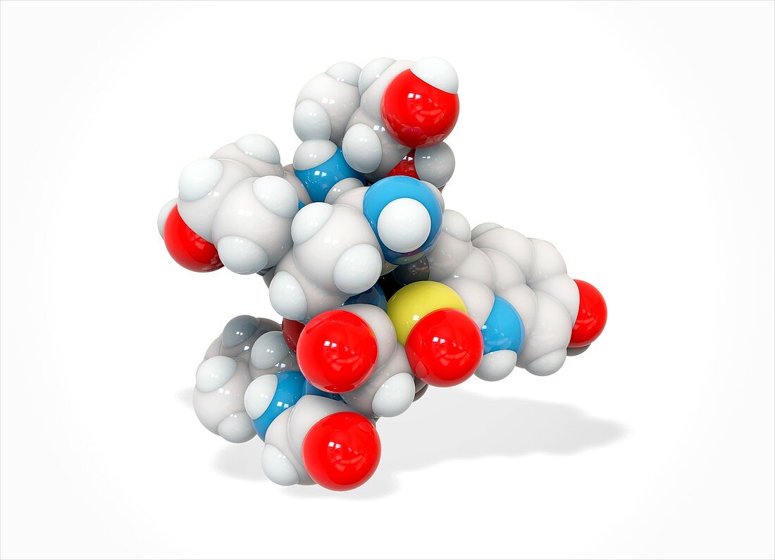 Alpha-amanitin toxin molecule