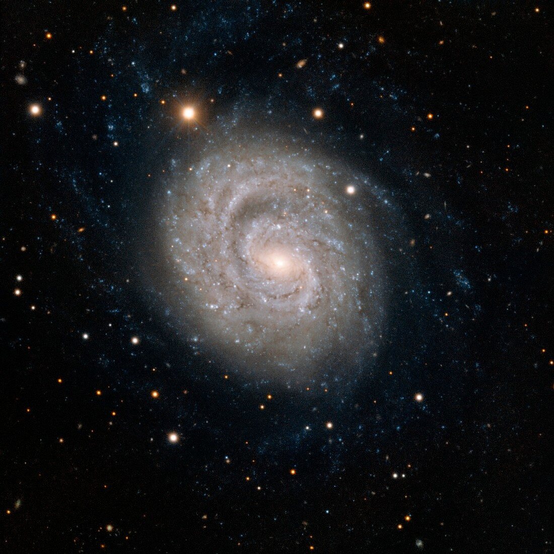 Spiral galaxy NGC 1637,VLT image