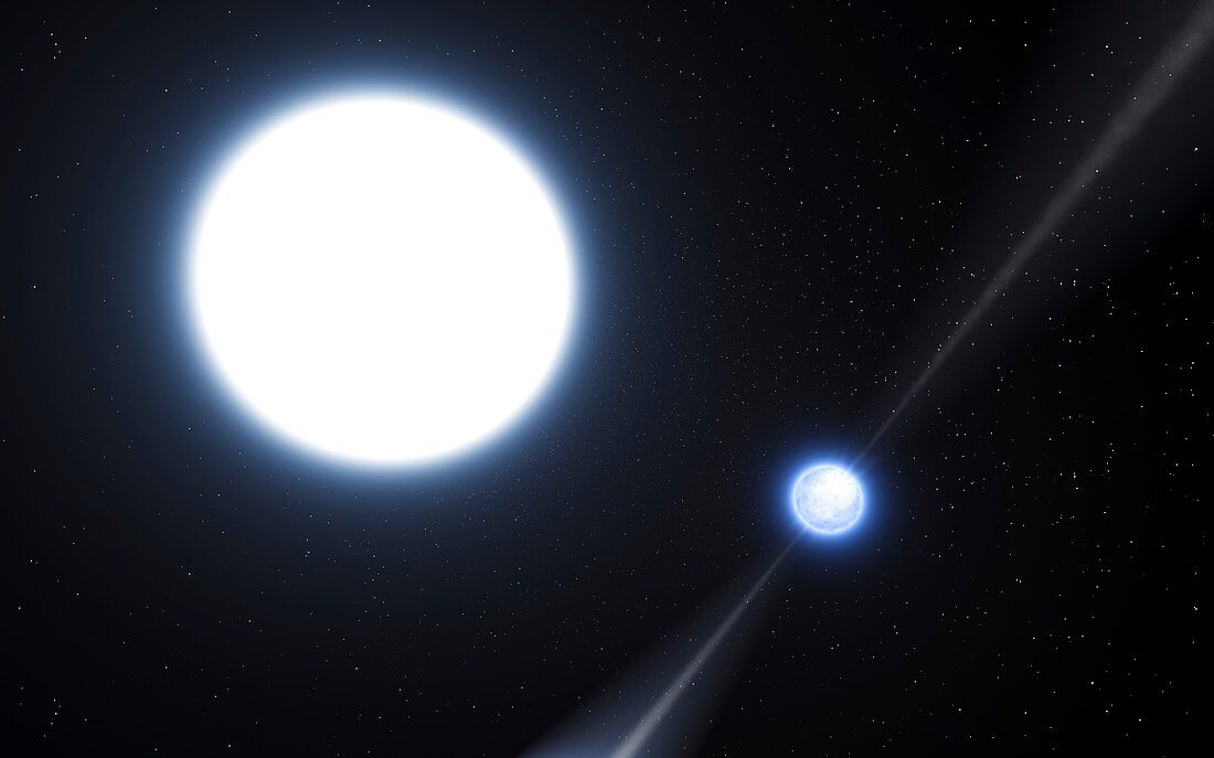 Neutron star and white dwarf system