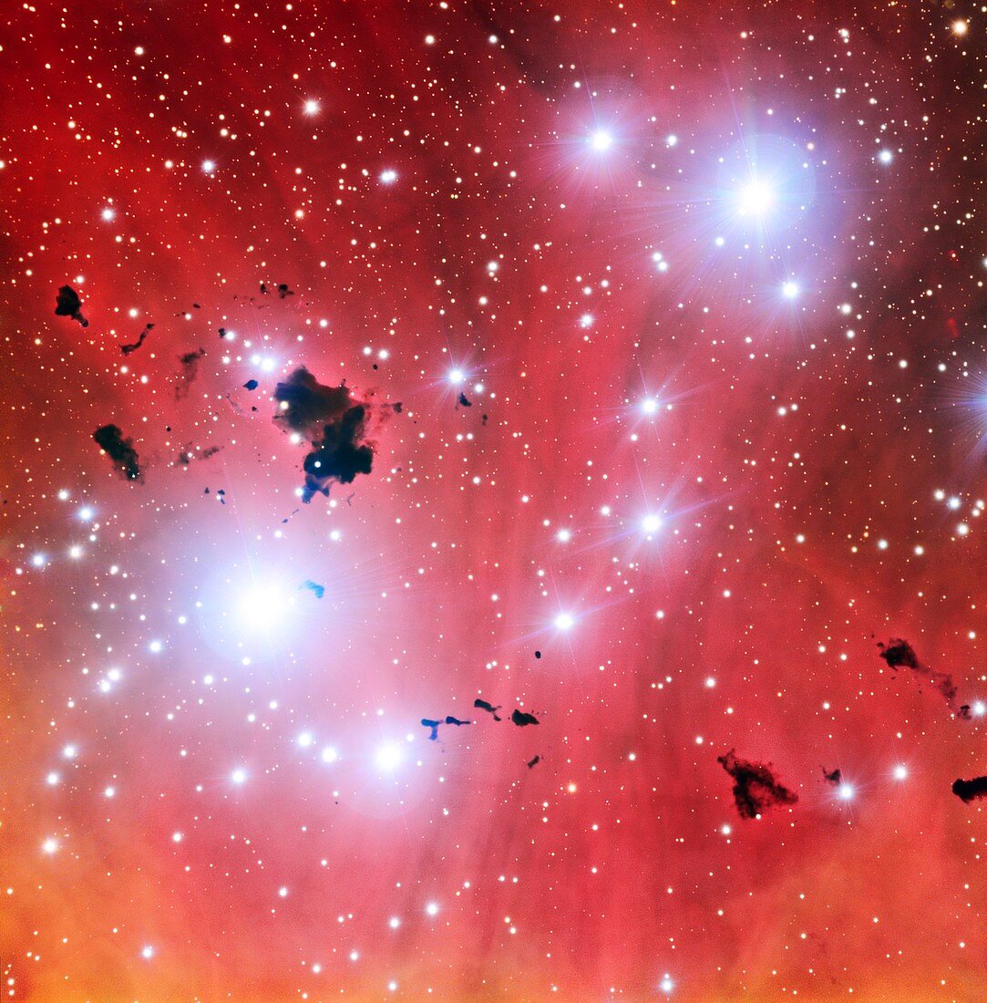 IC 2944 nebula,VLT image