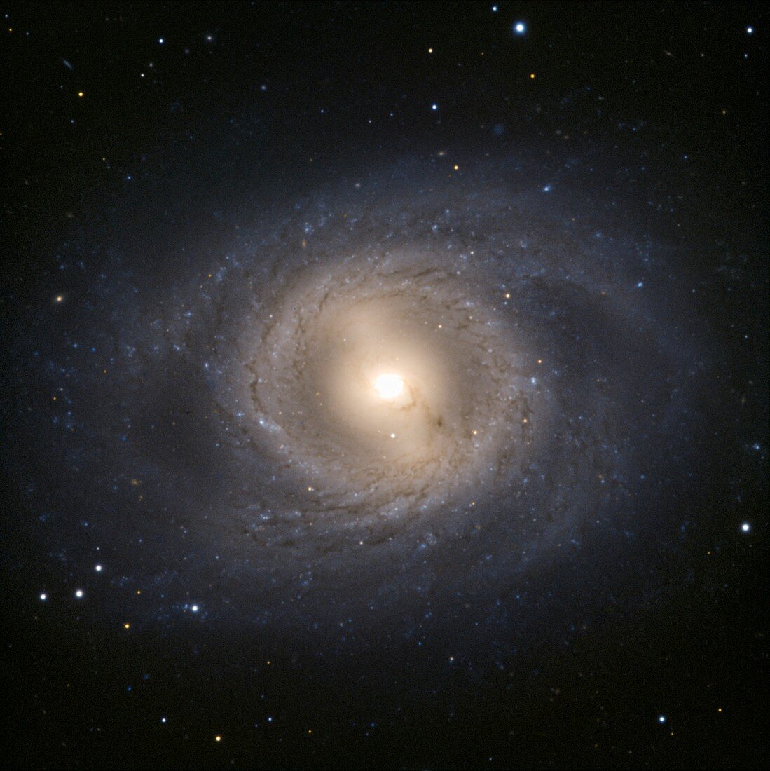 Messier 95 galaxy,VLT image