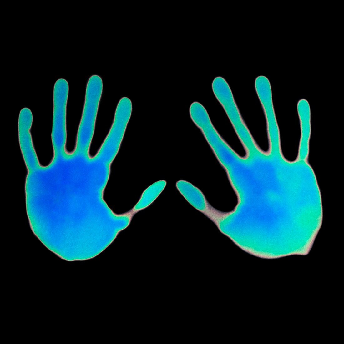 Hand prints on thermochromic paper